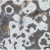 kinh-vien-vi-thong-minh-axiolab-5