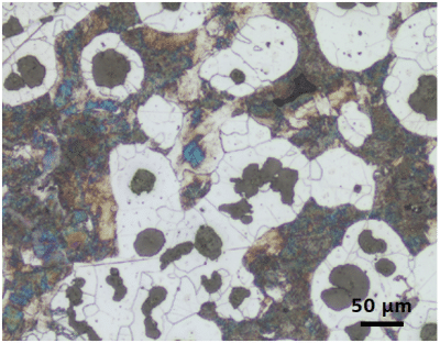 kinh-vien-vi-thong-minh-axiolab-5